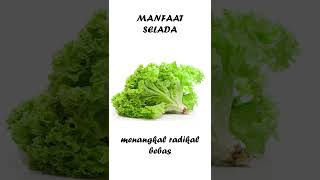 manfaat selada #menudietsehat #resepdiet #diet #health #short #shorts #viral