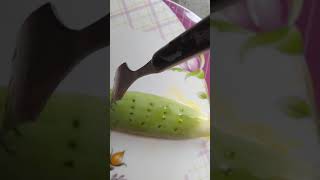 #54 Very Satisfying and relaxing aloe Vera asmr #Short