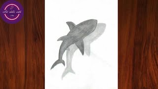 How to draw a dolphin drawing step by step || Easy drawing ideas for beginners || Beginners drawing