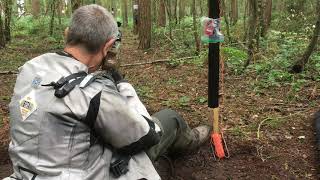 Field Target - World Championships 2019 - Day 3