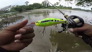 CASTING Black Bass