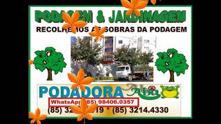 PODA CORTA ARVORE EM CAJAZEIRAS CE (85) 3214.4330