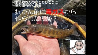 抗がん剤は毒ガスから作られたのか？