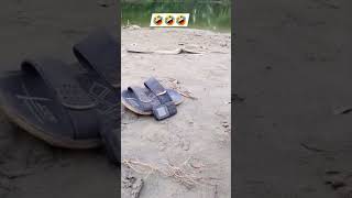 এটা কি হলো🙄🤣 #shorts #shortvideo #funny #entertainment #funnyvideo #foryou