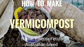 How to Make Mini Vermicompost Unit at Home 🏡 | Achinta Medhi