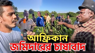 আফ্রিকায় আমার জমিদারের চাষ ও চাষী! গ্রামগুলো মানব শুন্য হয়। Largest Corn Cultivation by a Rich!