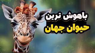 🤯باهوش ترین حیوان دنیا 🔥