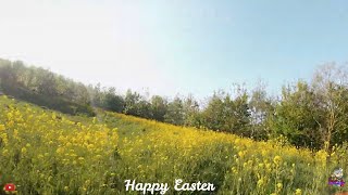 Yello & Green park- easter  ❤Azure Johnny Freestyle 5" Prop Session