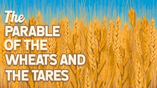 The Parable of the Wheats and the Tares • Matthew 13:24-30 | Illustrated by Daisy Illustrations