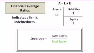 Dealership Financial Ratios - Leverage