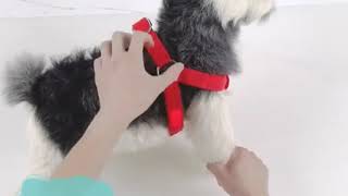 LED Dog Harness