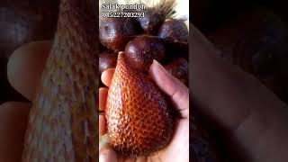 Salak Pondoh tak kasih harga murah #shorts