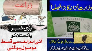 Dap Subsidy new update|Dap Subsidy update 2024|punjab|Agriculture|kisan news