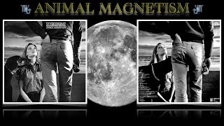 ♏︎ Animal Magnetism ♏︎