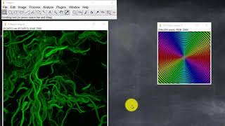 015 OrientationJ, un plugin de ImageJ y Fiji (Curso ImageJ-Fiji)