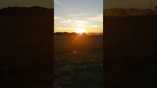 I ❤ Austria - pumpkin harvest #sunset #farming #iloveaustria #austria