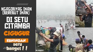 NGAGOBYAG SETU CITAMBA/BEREBUT IKAN SERU BANGET