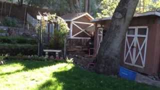 DIY  Chicken Coop Easy to Build and Clean!!!