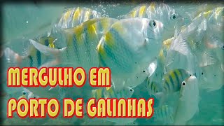 Mergulho em Porto de Galinhas - O que fazer em Porto de Galinhas