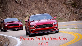 Ponies in the Smokies 2023