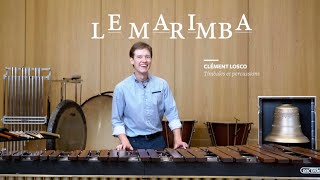 Marimba - Orchestre philharmonique de Strasbourg