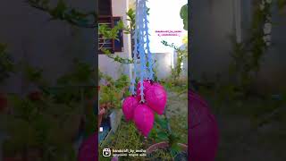 Lotus hangings 🪷  #reel #viral #diwalispecial #decorations