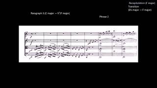 A Guided Tour of Beethoven's 7th String Quartet, Opus 59 No. 1 in F major, "Razumovsky 1" (2/2)