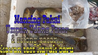 #UmpanSotongPasar🐙 #UmpanUdangpasar🦐 [ Labuan Adventure ] Memancing Bottom Spot ➡️ Berbatu & Karang🎣