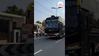 SWAMY AYYAPPA TRAVELS #shorts #godsowncountry #omnibus  #bus #ayyappa  #foryou #fyp #keralabus