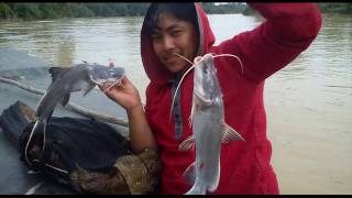 GULAI IKAN SUNGAI KUANTAN