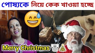 সবাইকে জানাই Merry Christmas ☃️🎄 | Bangla Vlog