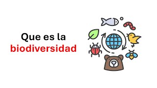 Qué es la biodiversidad y por qué debemos protegerla