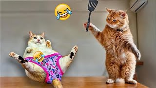 Try Not To Laugh Challenge🤔Funny and Cute CAT Videos Compilation 2024😹🐕