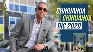 Chihuahua Chihuahua Dic 2020