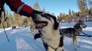 Finland 2019 - Joker-groepsreis 'Op zoek naar het Noorderlicht' - Torassieppi