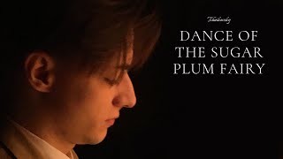 PYOTR ILYICH TCHAIKOVSKY: DANCE OF THE SUGAR PLUM FAIRY-played and transcibed by ZOLTÁN MÁJER