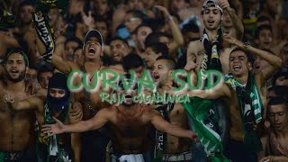 CURVA SUD| BEST MOMENTS |RAJA CASABLANCA ULTRAS| Football_Ultras