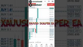 XAUUSD SCALPER EA MT4 2024 FREE DOWNLOAD (August 23,Friday)