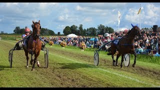 Kortebaan Stompwijk 2017