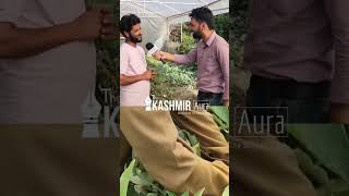 #Watch | Agar Insaan Mehnat Kare Tou Kuch Be Hasil Kar skta Hai, Yeh Kehna Hei Azad Hussain Bhat Ka.