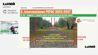 #5 - Cubiertas inertes: Ecorrégimen P7 en Valencia bajo la PAC 2023-2027