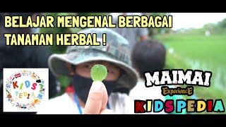 KIDSPEDIA - BELAJAR MENGENAL TANAMAN HERBAL AT BOKASHI FARM