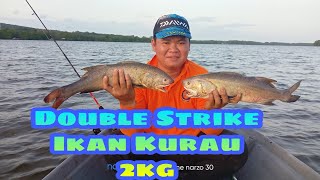 🔻DOUBLE STRIKE IKAN KURAU🔺Memancing BOTTOM FISHING B'sama Anak Buah SUNGAI PERAIRAN MENUMBOK SABAH..