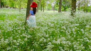 the girl with the red hat in wonderland