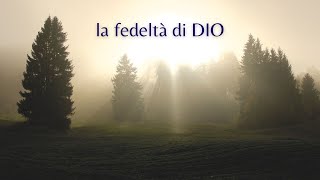 La fedeltà di DIO