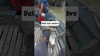 kata Mang kapten mah kakapnya lbih gde dr sepatu saya #shorts #ultralightcasting #ultralightfishing