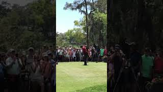 Tiger Woods 2018 at Valspar #fypシ #fypシ゚viral #ytshorts #yt #youtube #shortsvideo #shortsfeed #golf