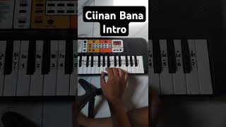 Ciinan Bana Intro #notpianika #seputarpianika