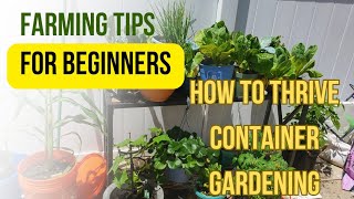 How I Grew a "Bounty of Fruits and Veggies" in Containers On My First Try