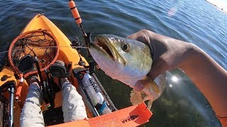 Kayak Fishing South Padre Island behind the SPI Convention Center in the 2019 Hobie Outback!